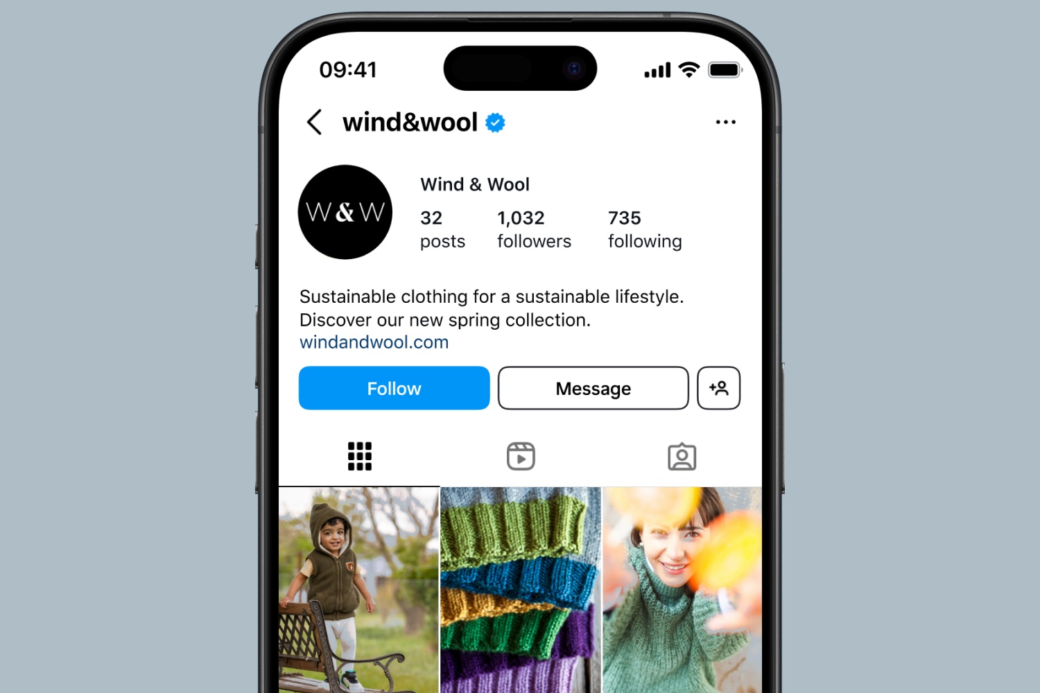 An Instagram professional profile and subscription surfaces for creators and businesses